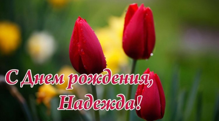 Красивые и оригинальные картинки «С Днем рождения, Надежда!»