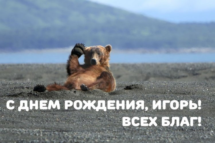 Красивые и оригинальные картинки «С Днем рождения, Игорь!»