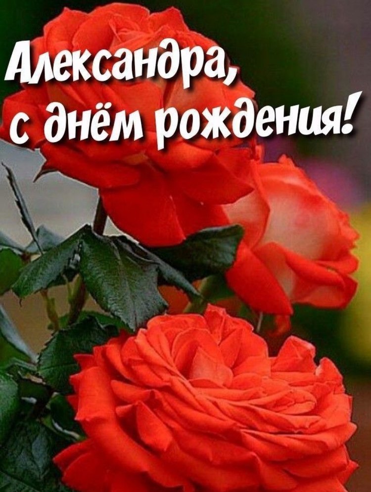 Открытки и картинки «С Днем рождения, Александра!» на юбилей