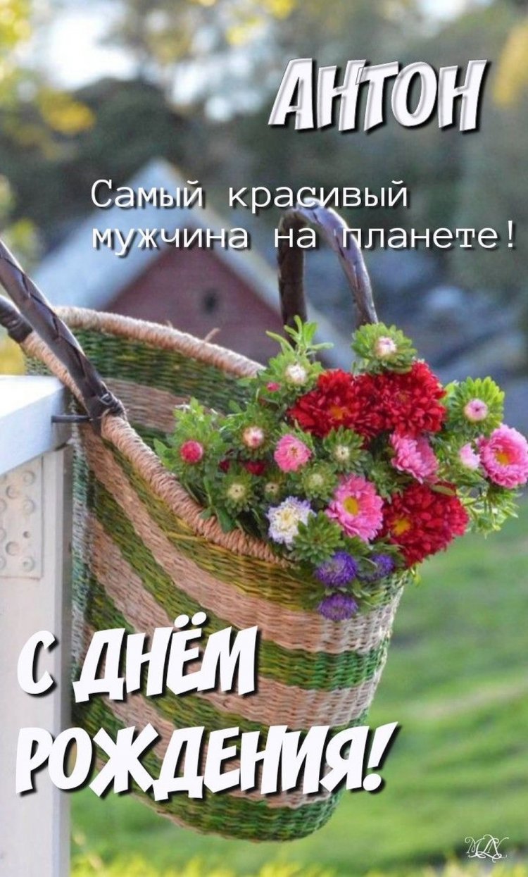 Трогательные открытки и картинки «С Днем рождения, Антон!»