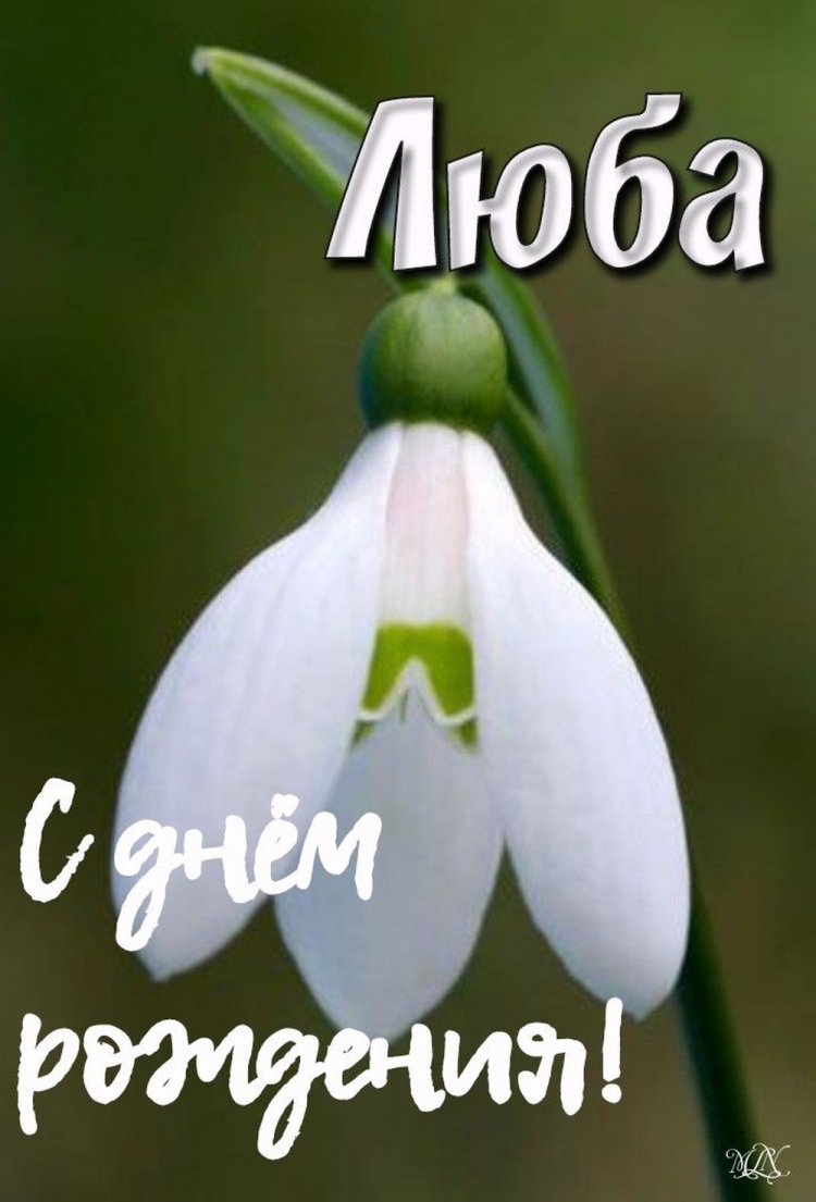 Открытки и картинки «С Днем рождения, Люба!» на юбилей