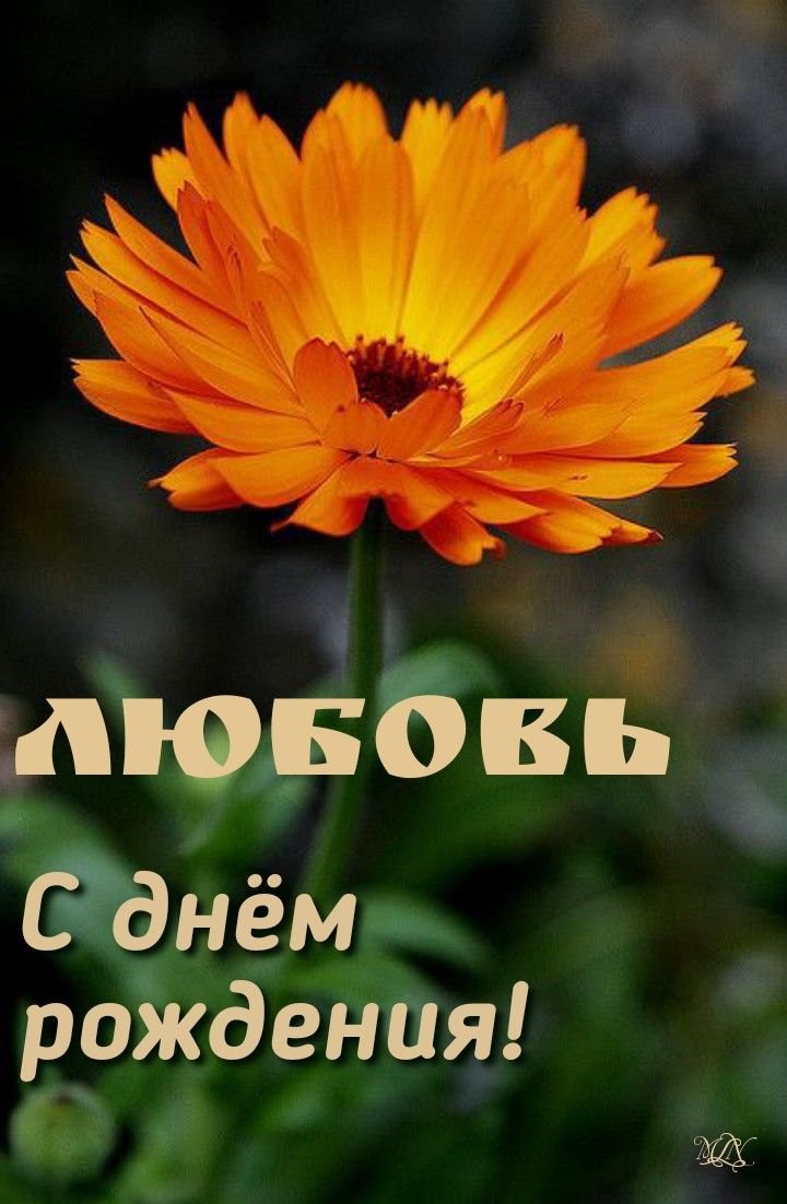 Открытки и картинки «С Днем рождения, Люба!» на юбилей