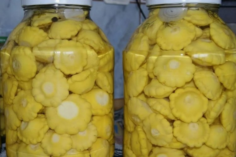 Целые патиссоны как грузди на зиму