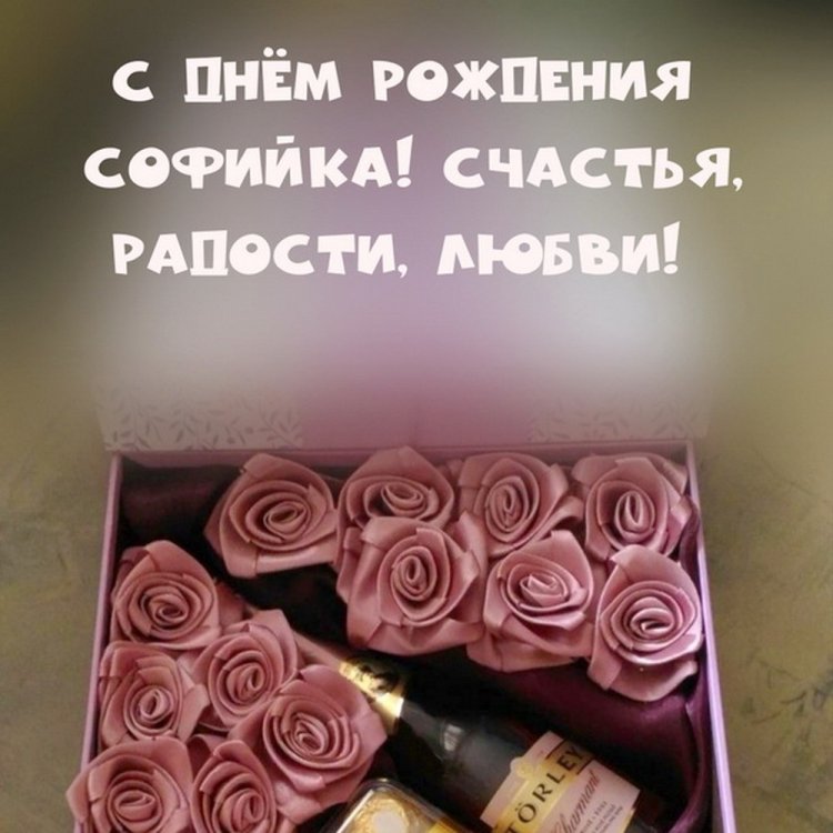 Трогательные открытки и картинки «С Днем рождения, София!»