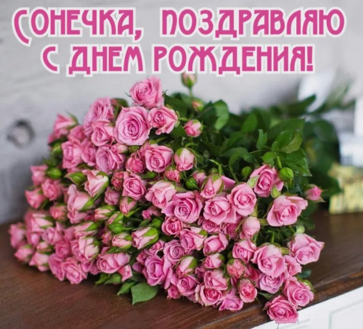 Трогательные открытки и картинки «С Днем рождения, София!»