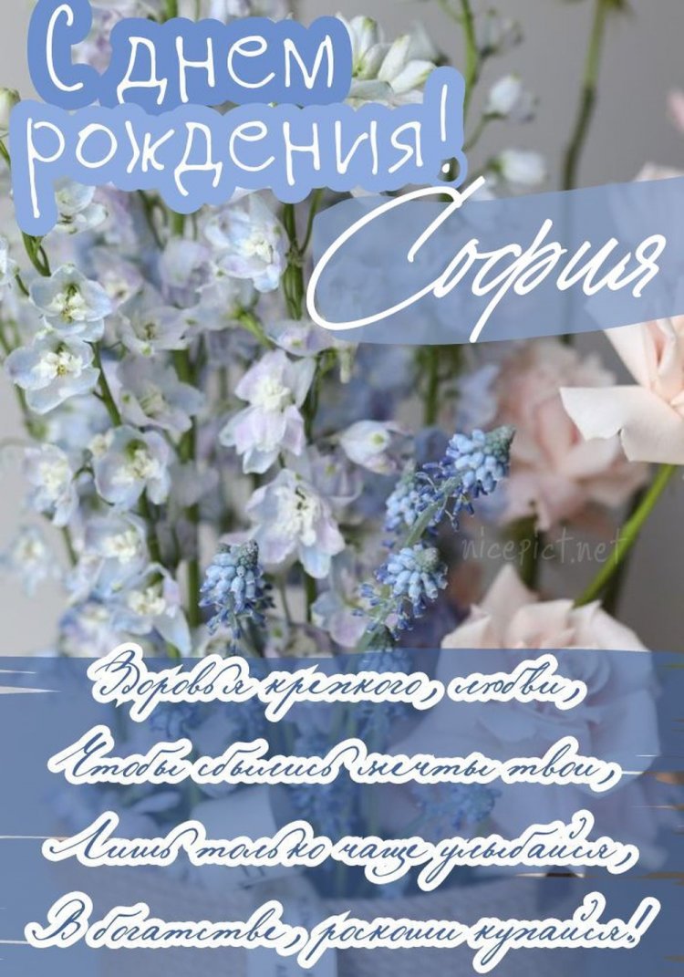Открытки и картинки «С Днем рождения, София!» с пожеланиями