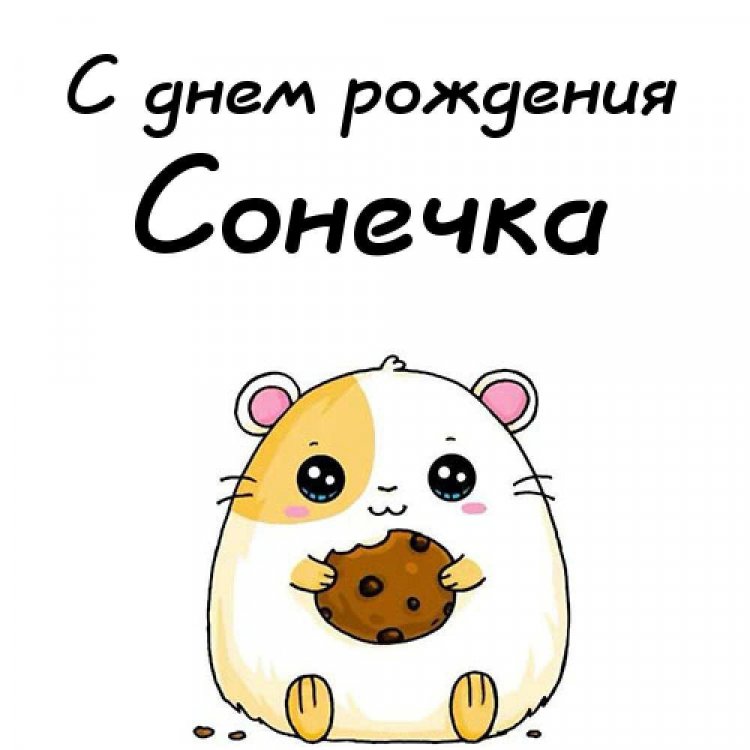 Прикольные открытки и картинки «С Днем рождения, София!»