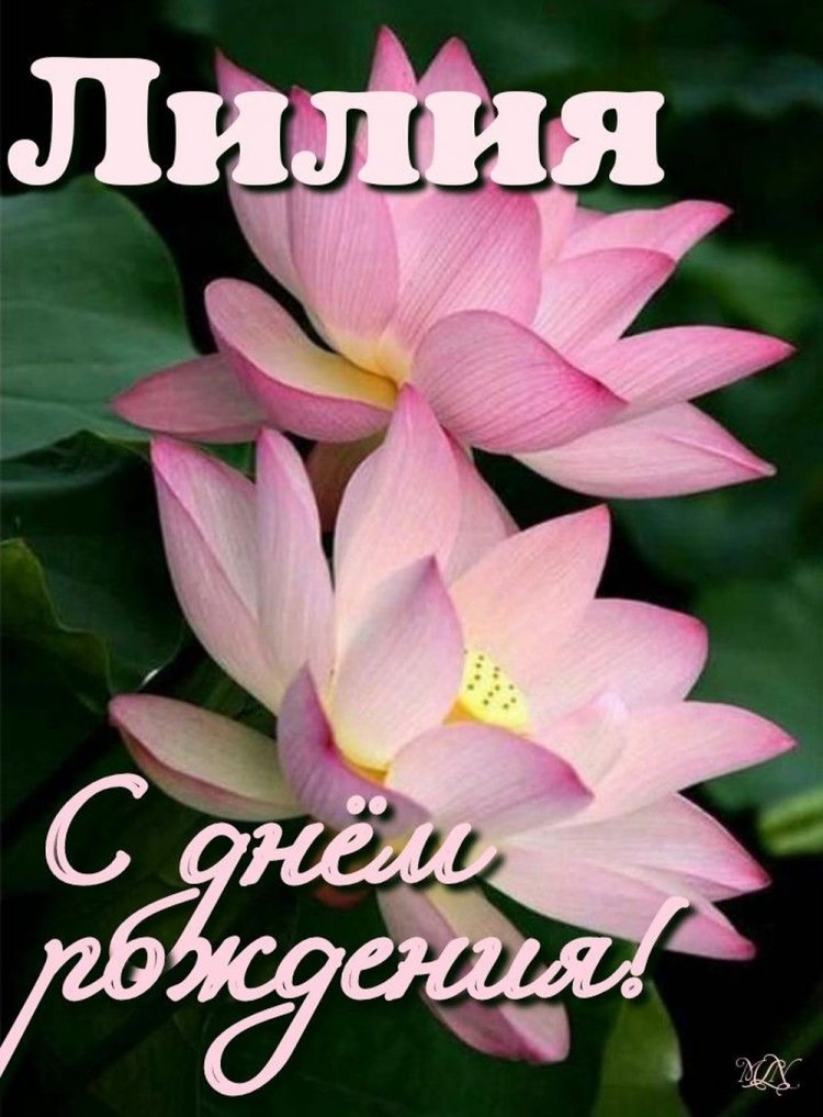 Открытки и картинки «С Днем рождения, Лилия!» на юбилей