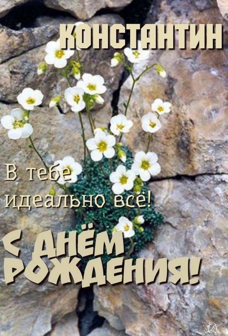 Трогательные открытки и картинки «С Днем рождения, Костя!»