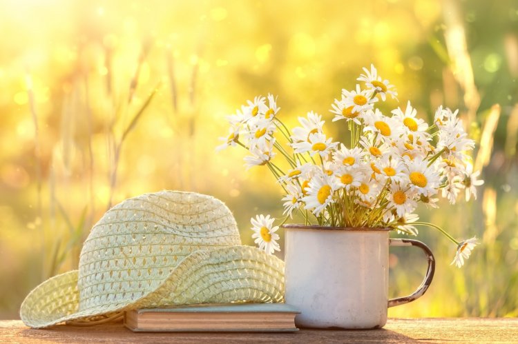 Открытки и картинки «С первым днем лета!»