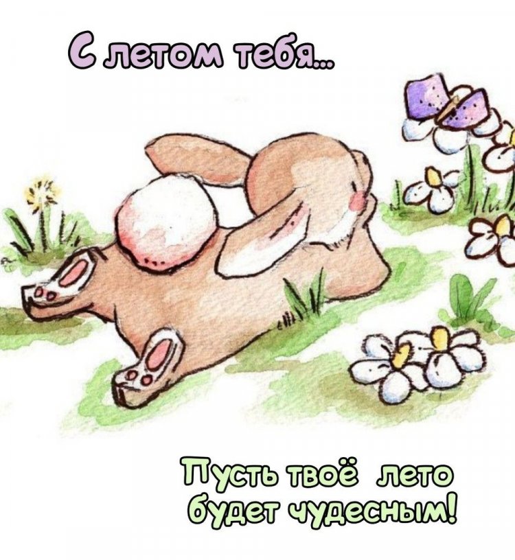 Трогательные открытки и картинки «С первым днем лета!»