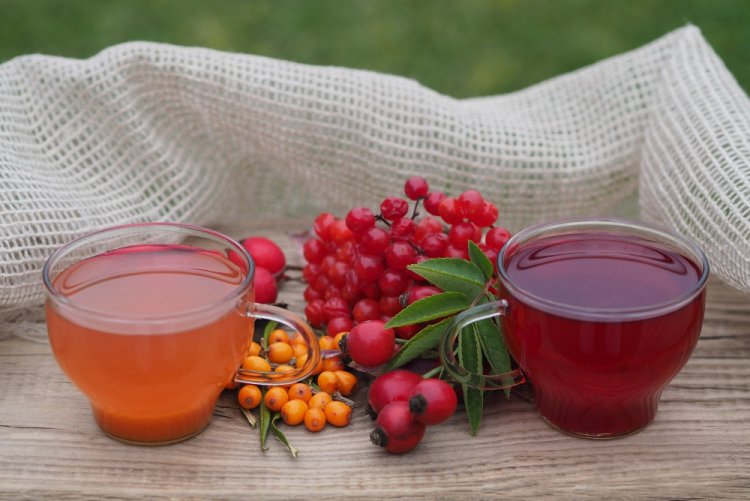 Компот из шиповника, брусники и облепихи