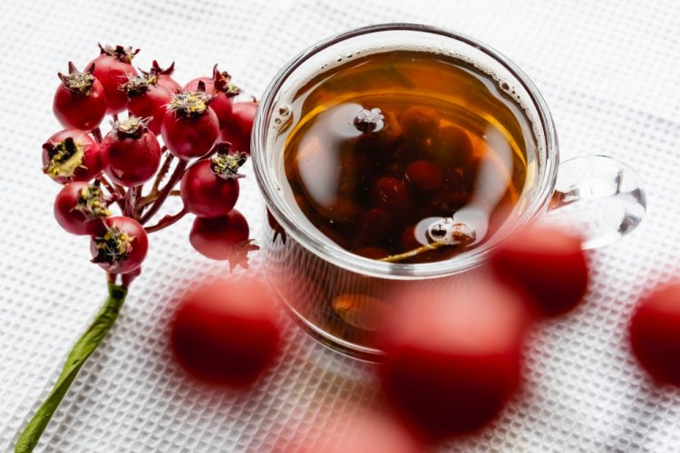Компот из сушеного шиповника