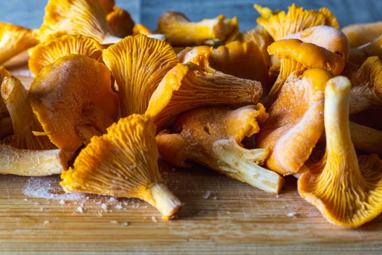 Замороженные вареные лисички