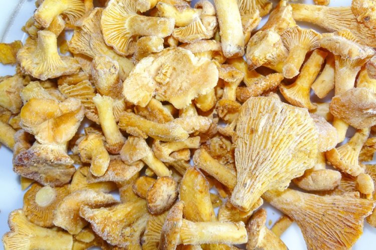 Замороженные лисички в зип-пакетах