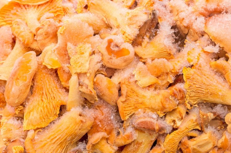 Замороженные лисички в грибном бульоне