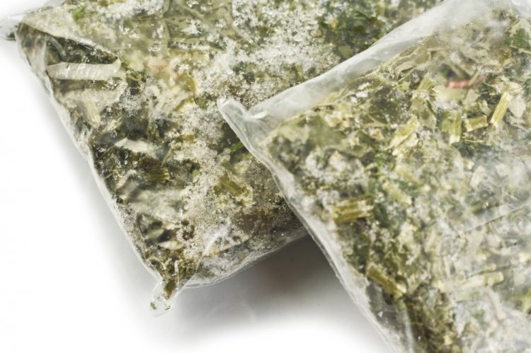 Замороженный бланшированный щавель на зиму