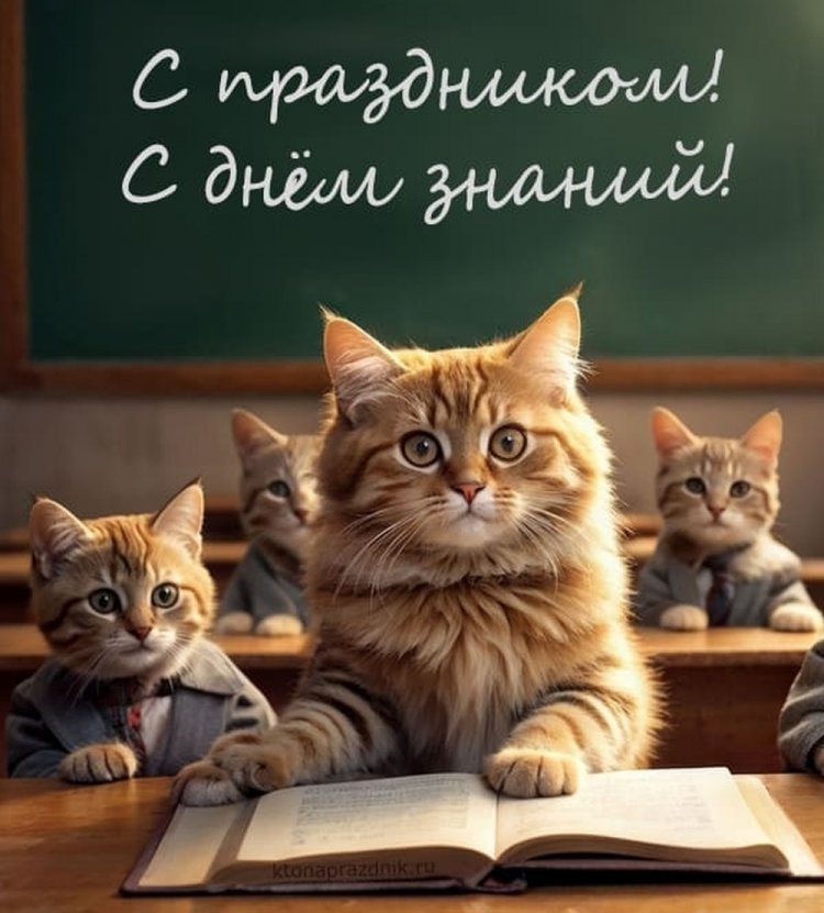 Прикольные открытки на 1 сентября