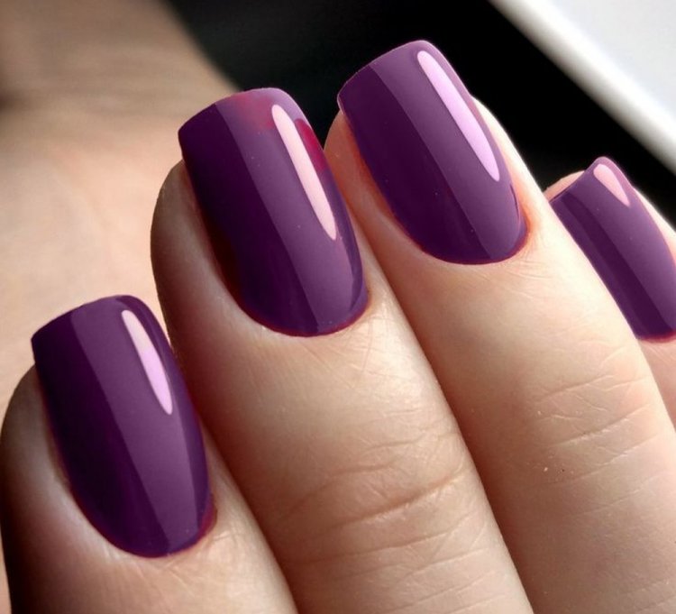 Цвет инжира