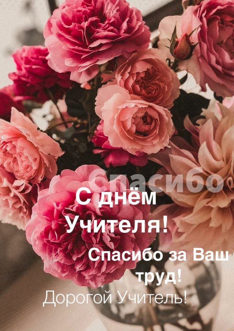 Оригинальные и красивые открытки с Днем учителя