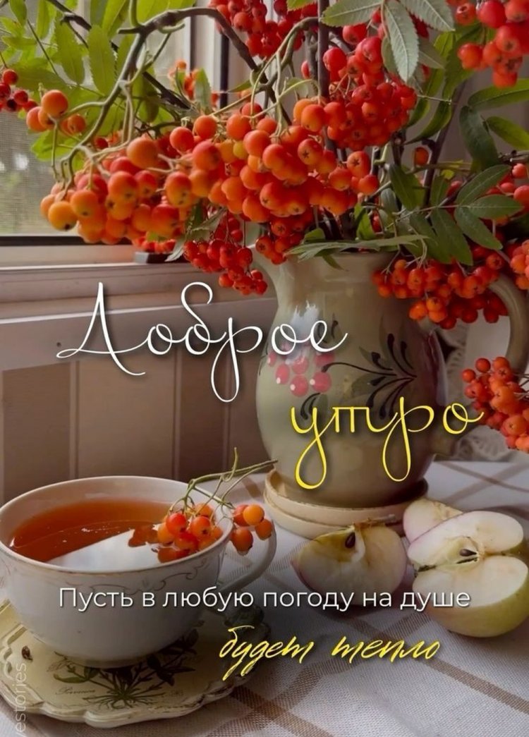 Оригинальные и красивые осенние открытки «Доброе утро!»