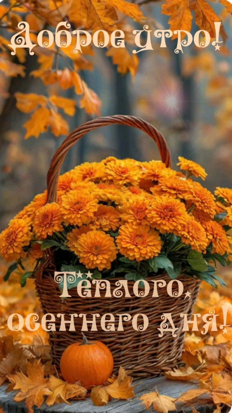 Осенние открытки «С добрым утром и хорошего дня!»