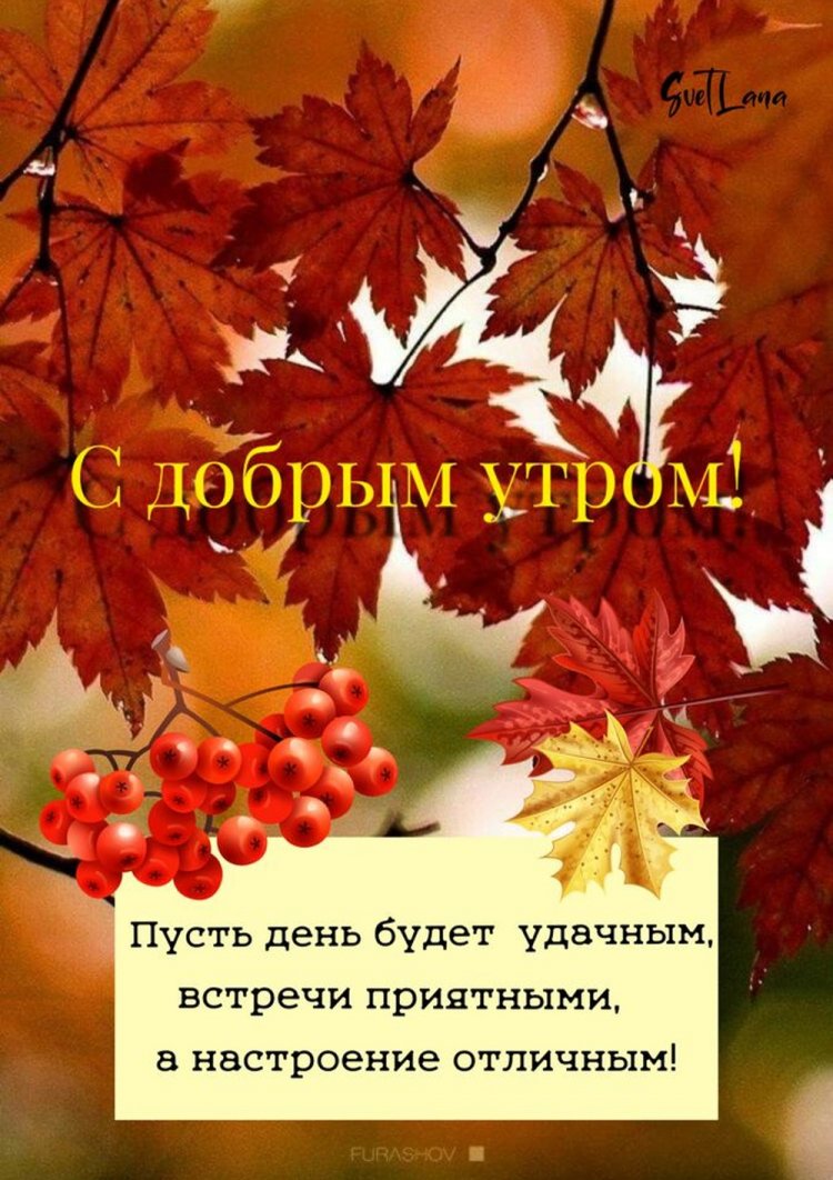 Осенние открытки «С добрым утром!» для мужчины