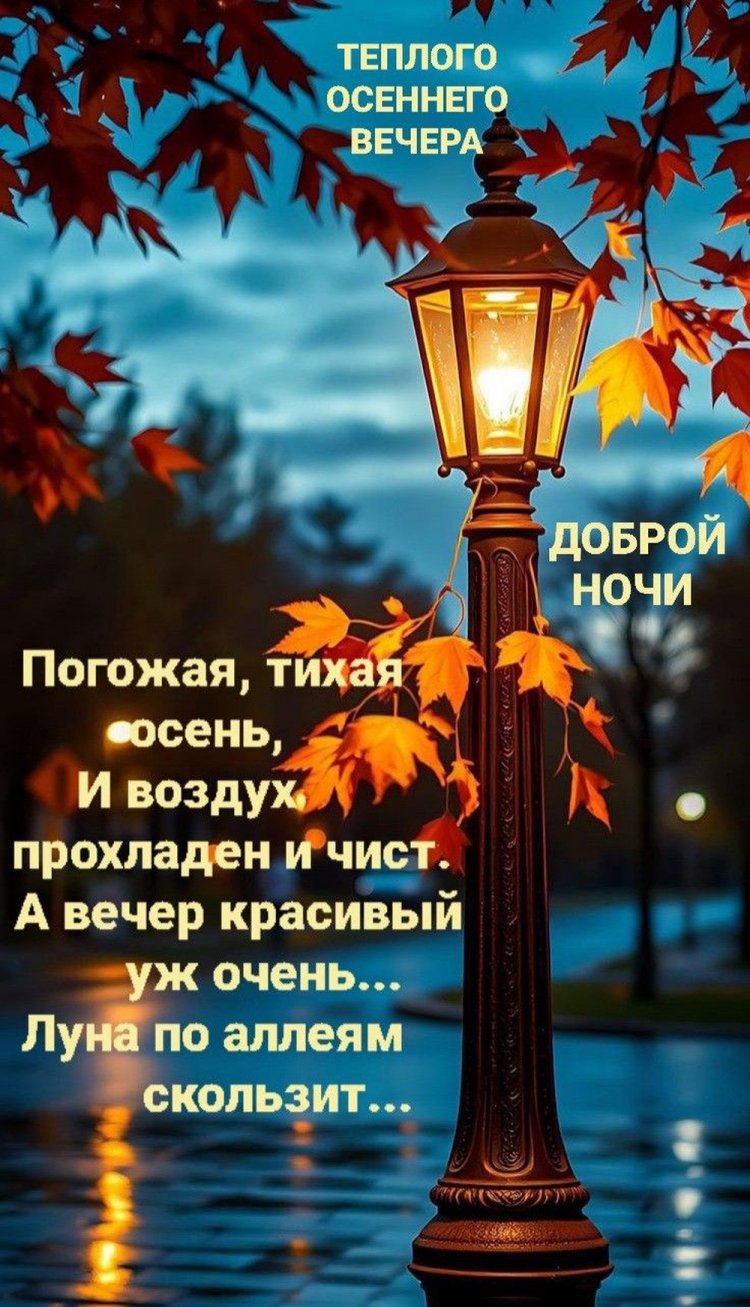 Осенние открытки «Добрый вечер и спокойной ночи!»