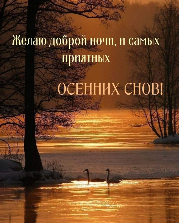 Оригинальные и красивые осенние открытки «Спокойной ночи!»