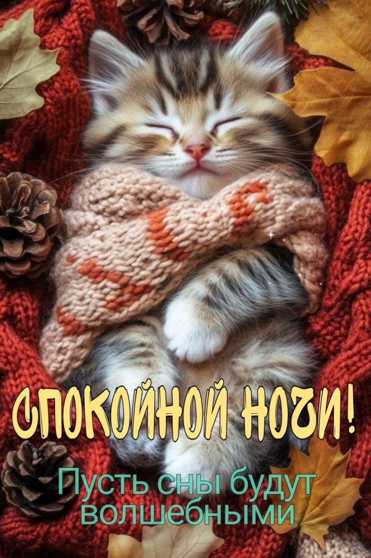 Прикольные осенние открытки «Спокойной ночи!»