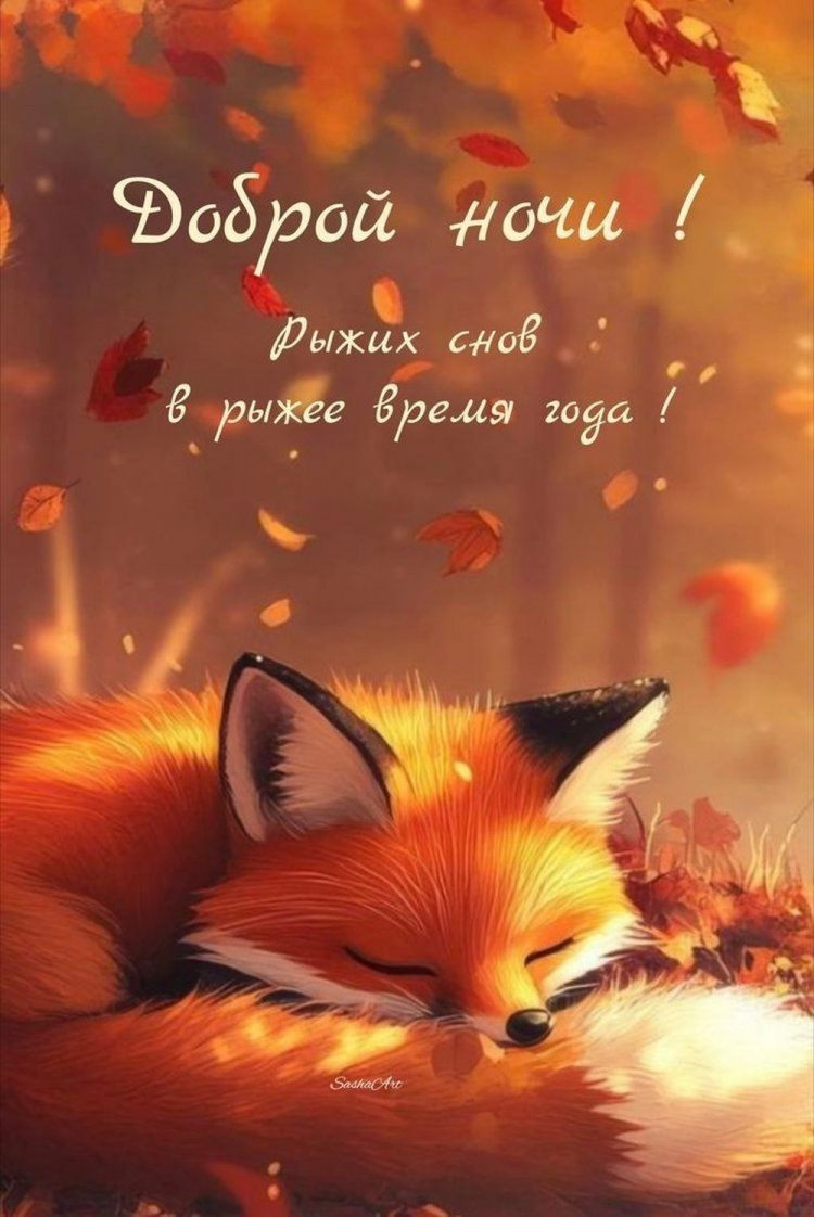 Прикольные осенние открытки «Спокойной ночи!»