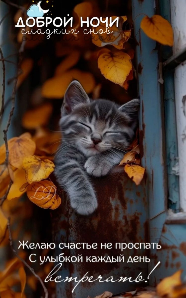 Прикольные осенние открытки «Спокойной ночи!»