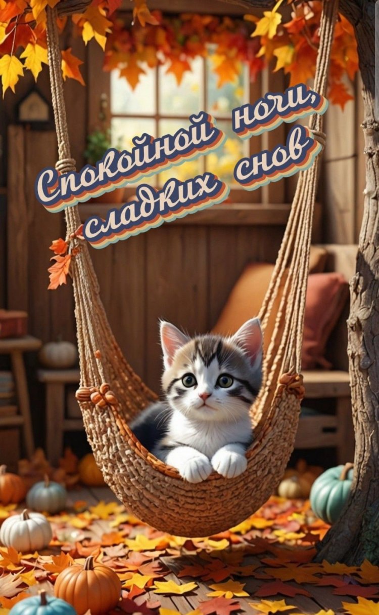 Осенние открытки «Спокойной ночи и добрых снов!»