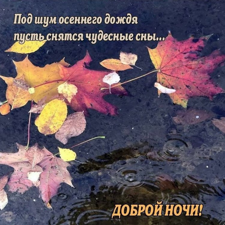 Осенние открытки «Спокойной ночи!» для женщины