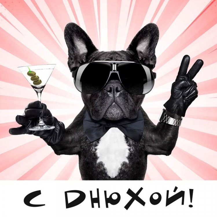 Прикольные открытки и картинки «С Днем рождения!» другу