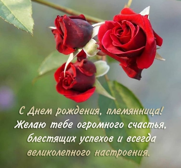 Трогательные открытки и картинки «С Днем рождения!» племяннице