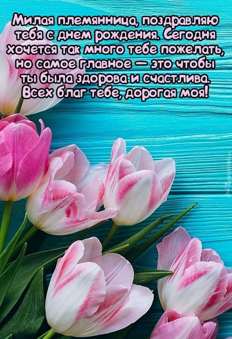 Трогательные открытки и картинки «С Днем рождения!» племяннице