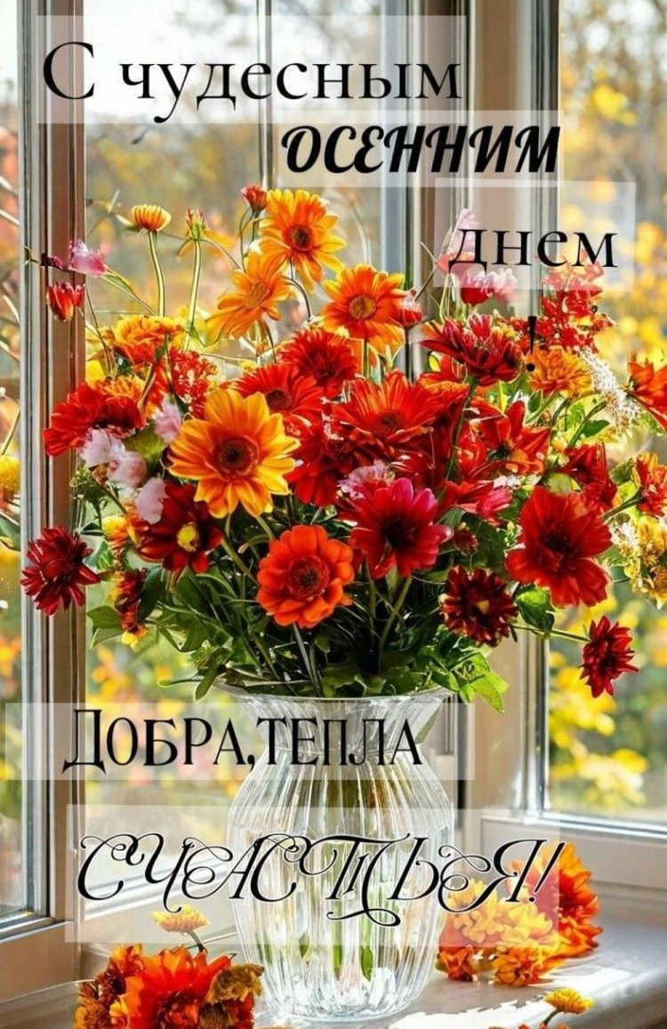 Оригинальные и красивые осенние открытки «Хорошего дня!»