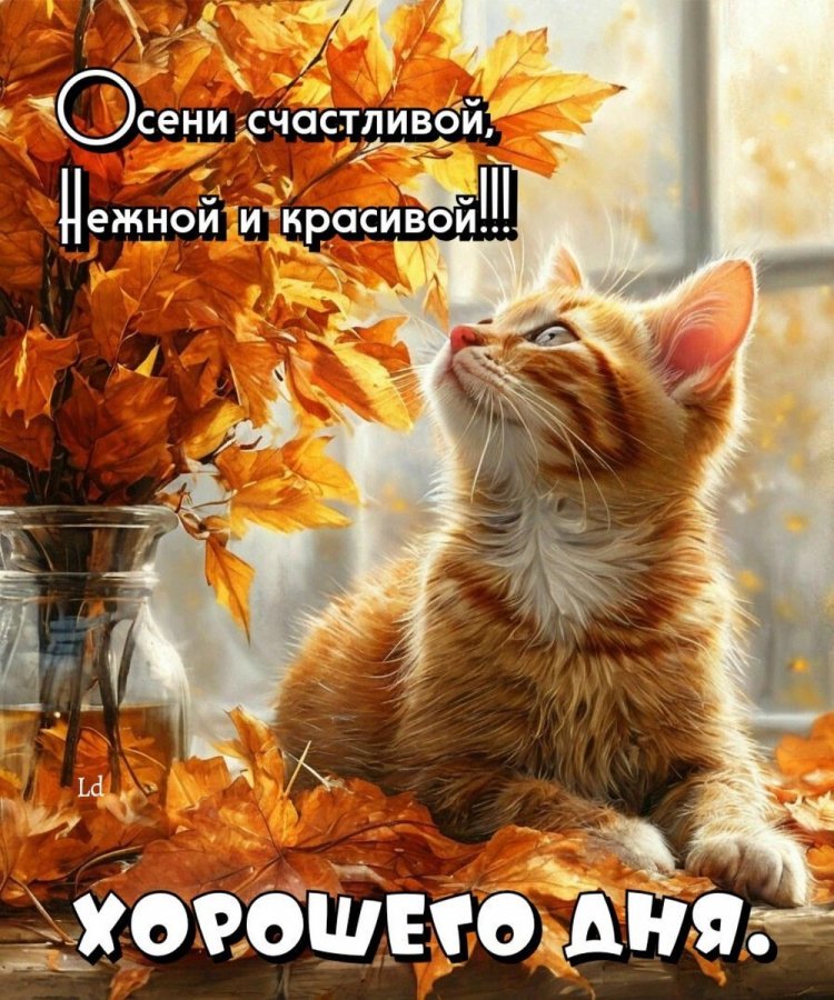 Оригинальные и красивые осенние открытки «Хорошего дня!»