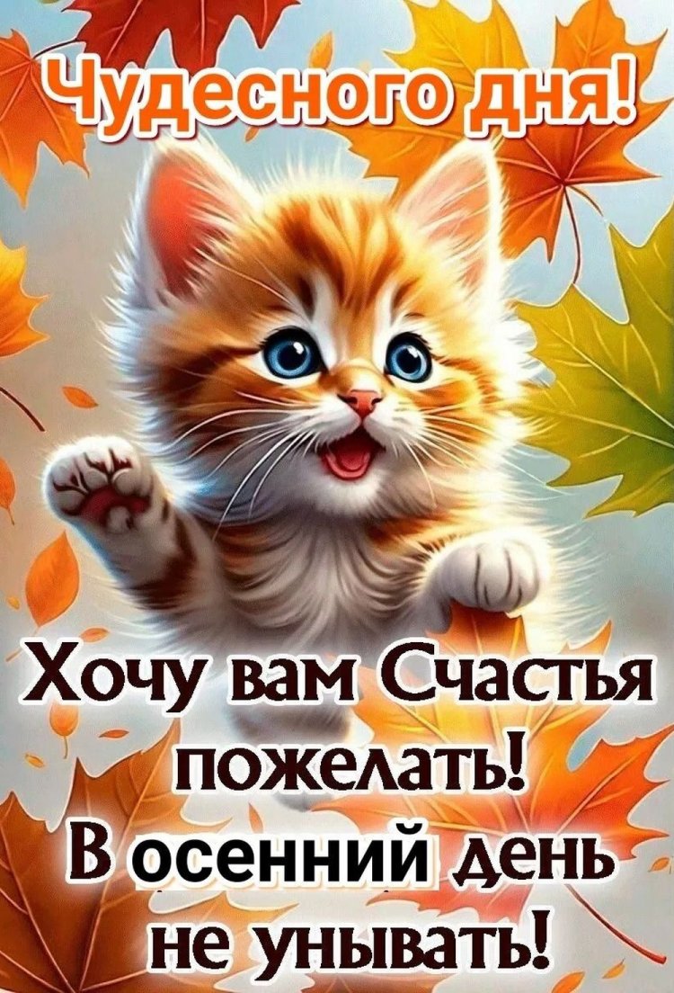 Прикольные осенние открытки «Хорошего дня!»
