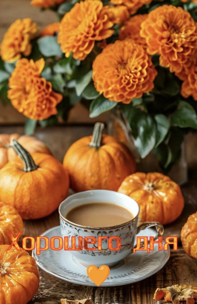 Трогательные осенние открытки «Хорошего дня!»