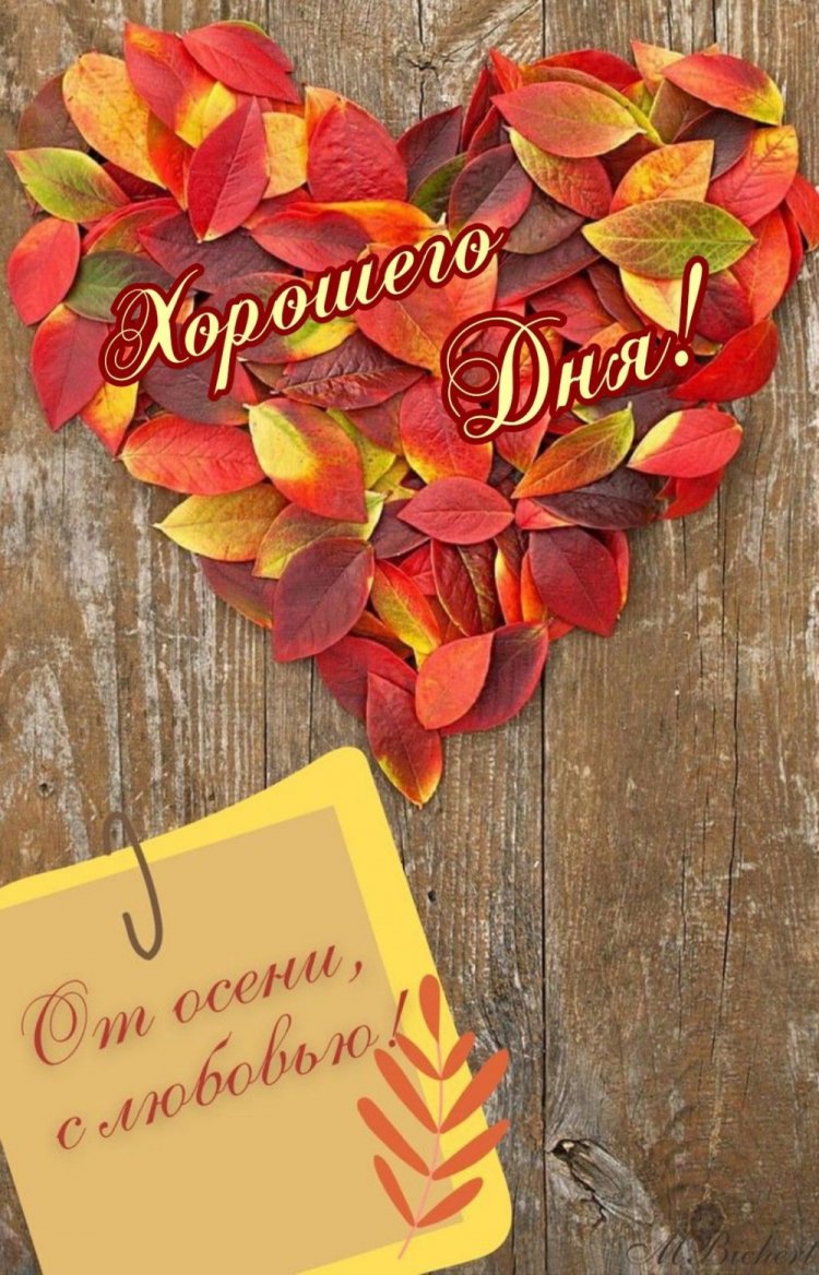 Трогательные осенние открытки «Хорошего дня!»