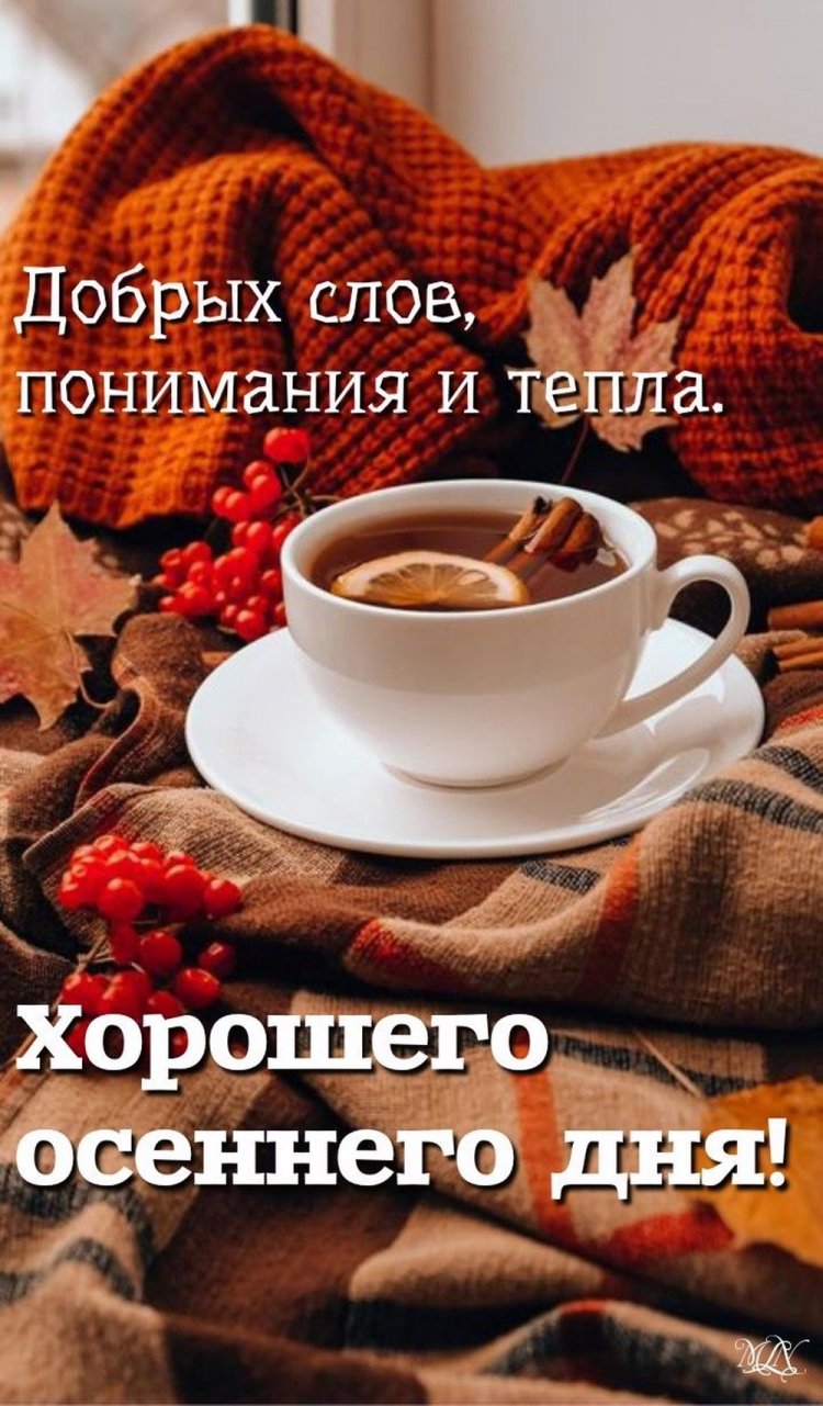 Трогательные осенние открытки «Хорошего дня!»