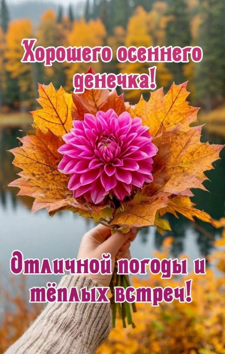 Осенние открытки «Хорошего дня!» мужчине