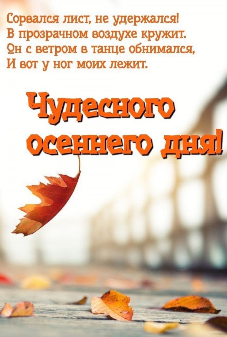 Осенние открытки «Хорошего дня!» мужчине