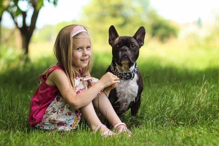 Французский бульдог с детьми