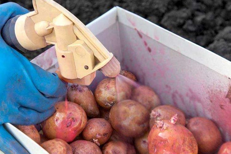 Приготовление раствора Фундазола