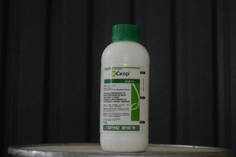 Принцип действия фунгицида Скор