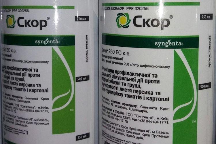 Приготовление раствора фунгицида Скор