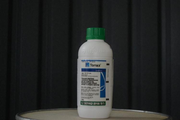 Приготовление раствора фунгицида Топаз